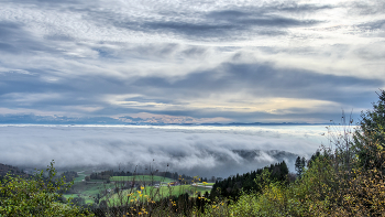  / nebel im rheintal