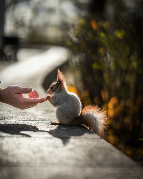 Let's be friends! / ***