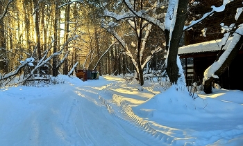 Freeze / ***