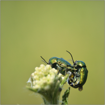 Together. / ***