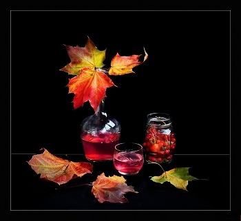 Maple Leaf / ***