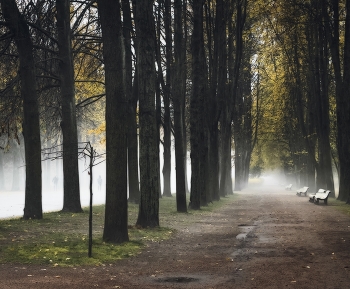 Krestovskiy Island / ***