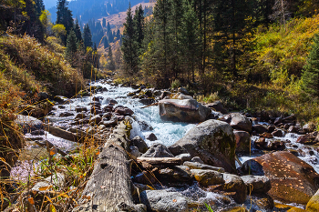 Autumn ... / ***
