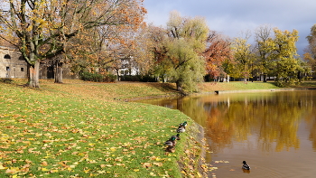 Autumn light / ***