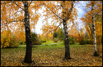Autumn sketches / ***