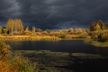 the contrasts of autumn / ***