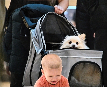 &nbsp; / ***