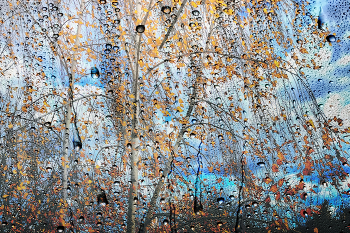 Autumn rain / ***