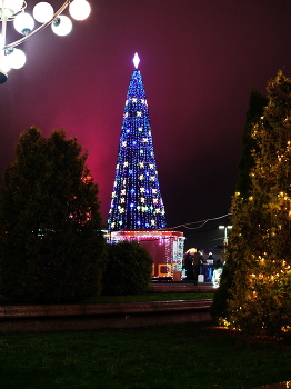 Happy New Year! / ***