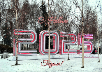 Frohes Neues Jahr! / ***