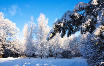 The Winter&#39;s Tale. / ***