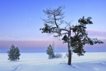 The Gulf of Finland / ***