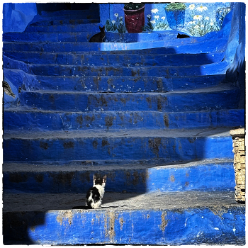  / ***