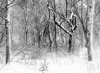 Graphics winter. / ***