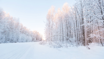 After an overnight snowfall / ***