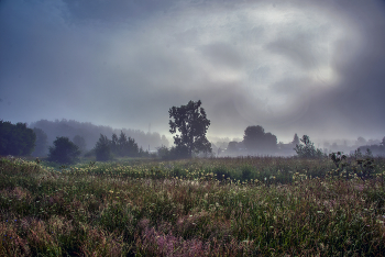 Gloomy / ***