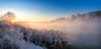 City in the fog / ***