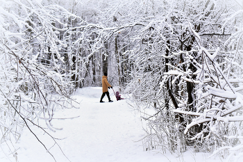 winter walk / ***