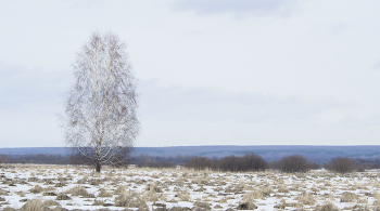 In the field / ***