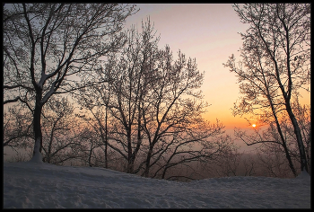 Sonnenaufgang im Wald / ***