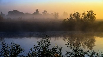 At dawn / ***