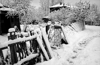 in January / ***