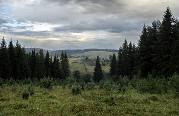Gloomy day. / ***