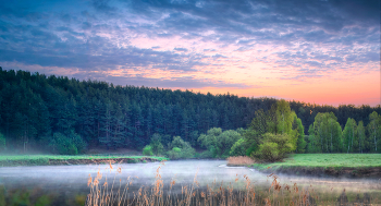 Spring dawn / ***