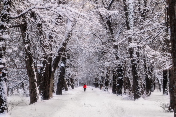 Walk / ***