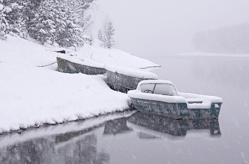 boat / ***