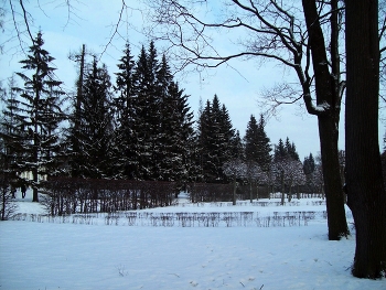 In Tsarskoye Selo / ***