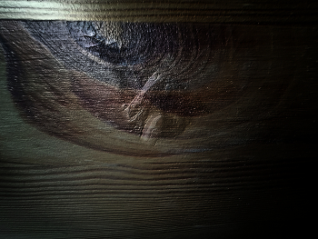 The monster is back / It will find you