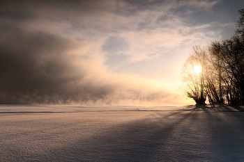 on the shore / ***