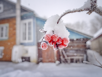 Winter sketches / ***