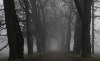 Fog dissipates / ***