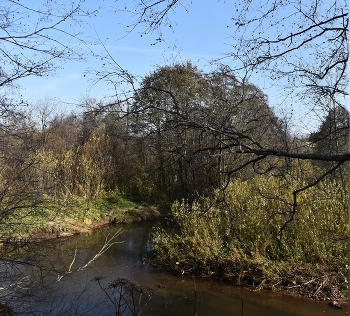 Streamlet / _____