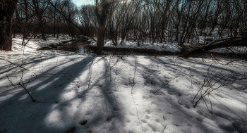 Spring is coming. / ***