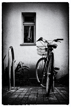 Bike / ***