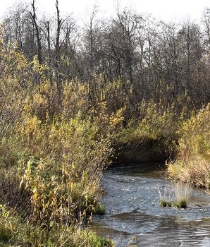 Streamlet / _____