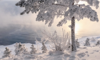 Frosty evening / ***