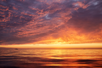 fiery sunset 3 / ***