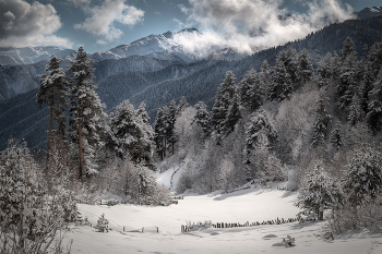 Winter Over Svaneti / ***
