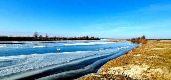 Winterers / ***