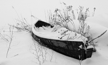 Winterschlaf / ***