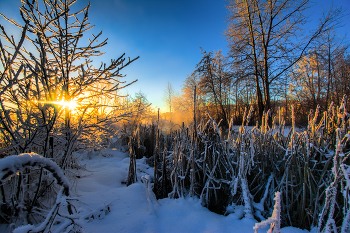 Sunrise over the river / ***