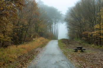 Autumn / ***