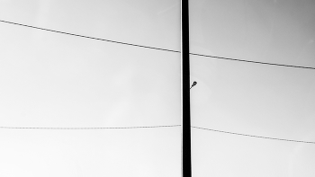 Life around / ***