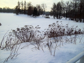 In Tsarskoye Selo / ***