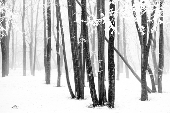 Der Park ... / ***