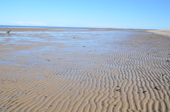 Low tide / ***